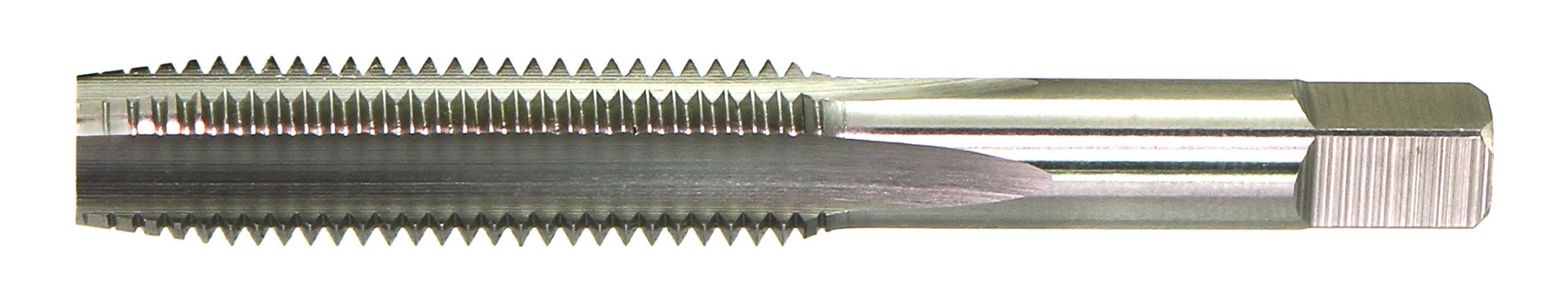 WAL2-02A006CP